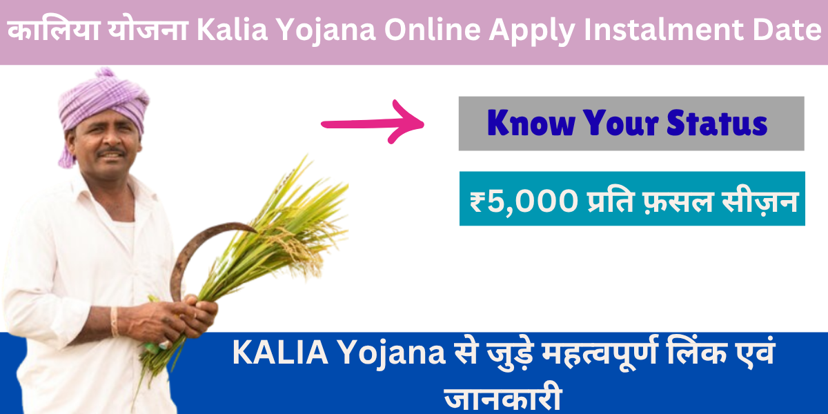 Kalia Yojana